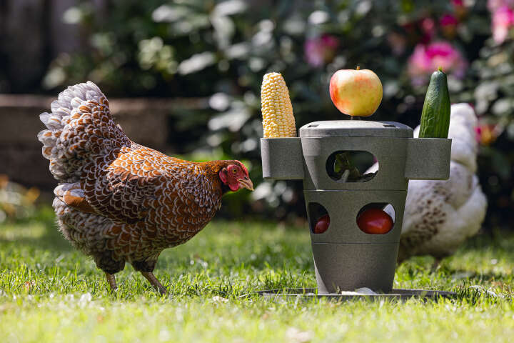 beeztees Hühner Snackturm